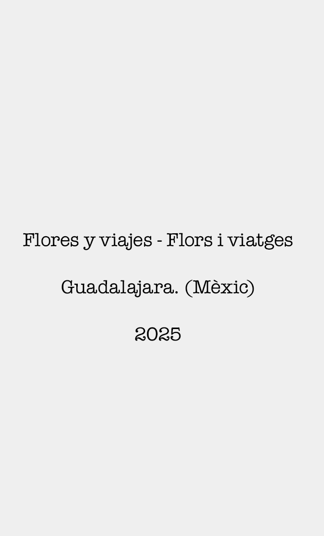 Flores y viajes - Flors i viatges